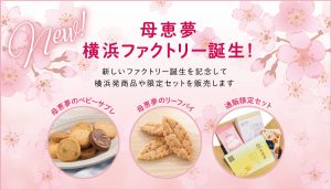 母恵夢横浜ファクトリー誕生