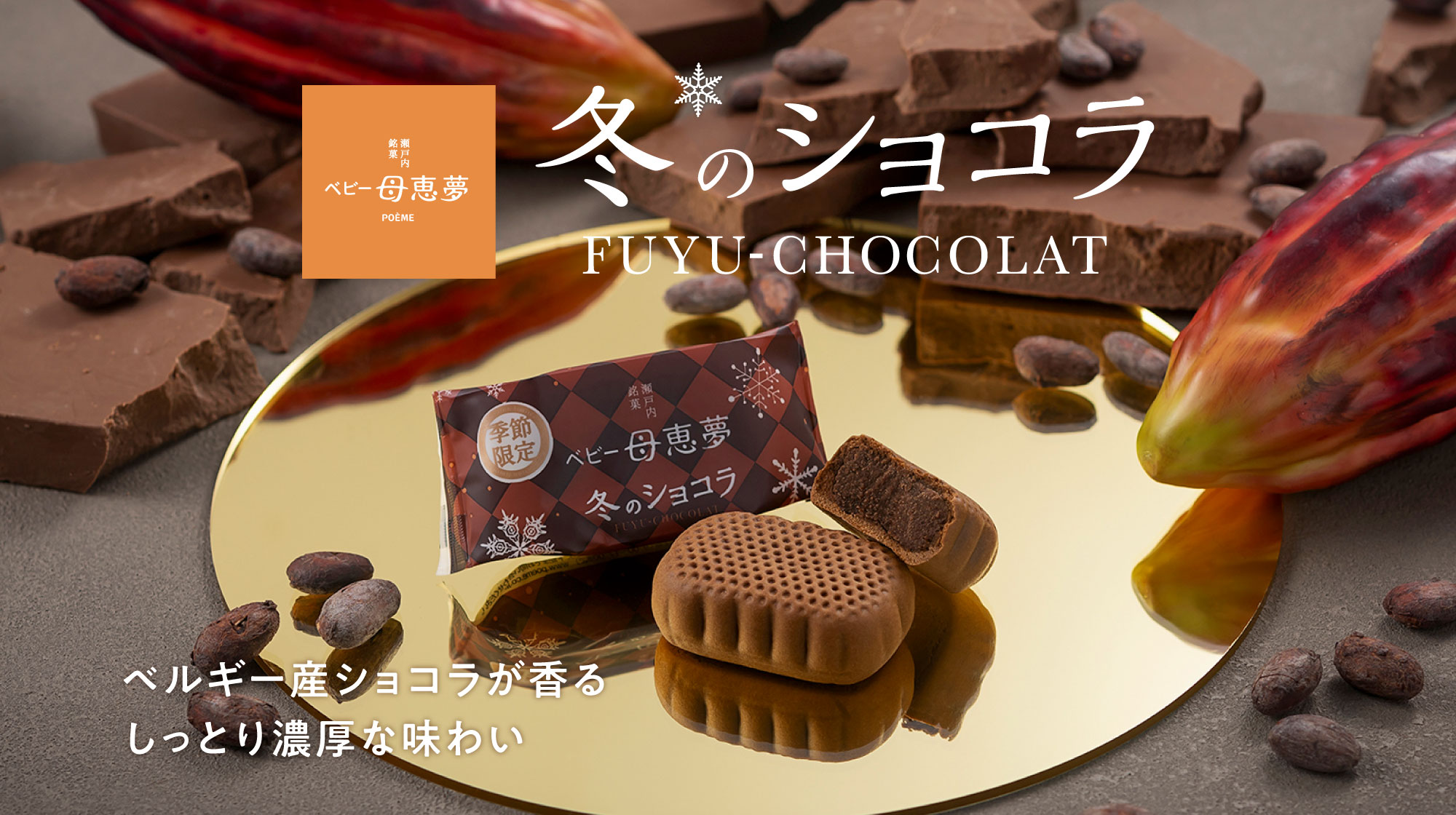 ベビー母恵夢 冬のショコラ